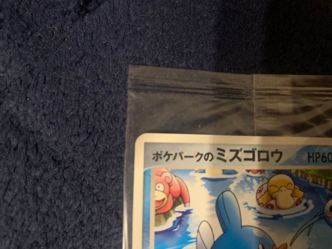 未開封ポケモンカード ポケパークのミズゴロウ 048/PCG-P