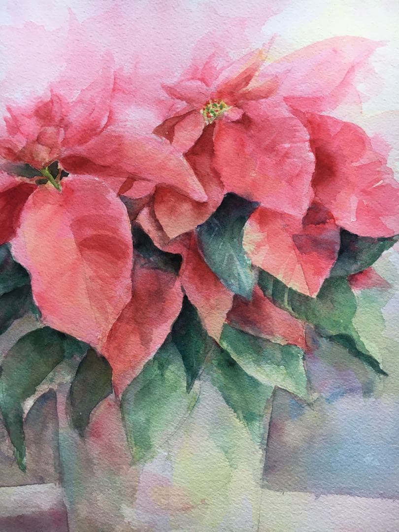 透明水彩画原画　クリスマス　聖夜　ポインセチア
