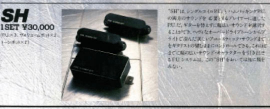 【レア】FERNANDES STJ-75