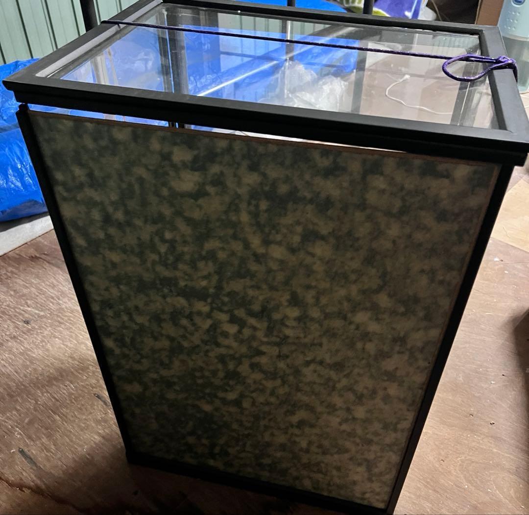 【お宝】美術 武者人形 紫峰作 謹製 馬上大将　日本人形