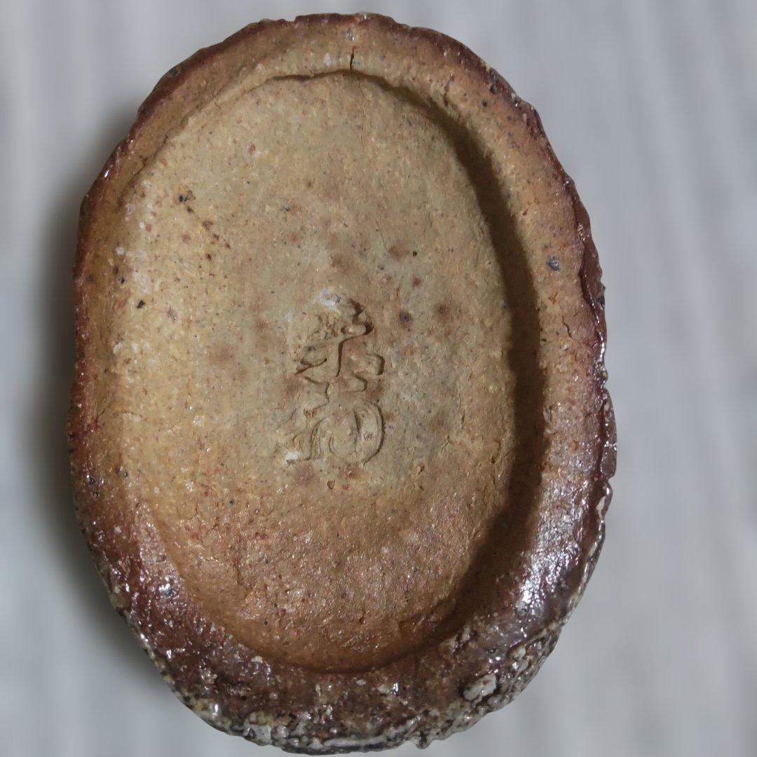 信楽焼 亀 香合