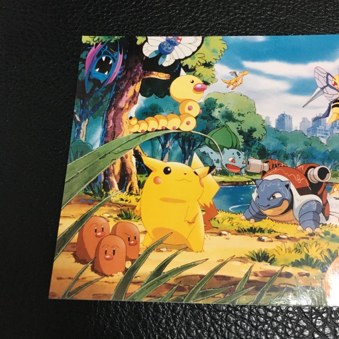 ポケモン　写真