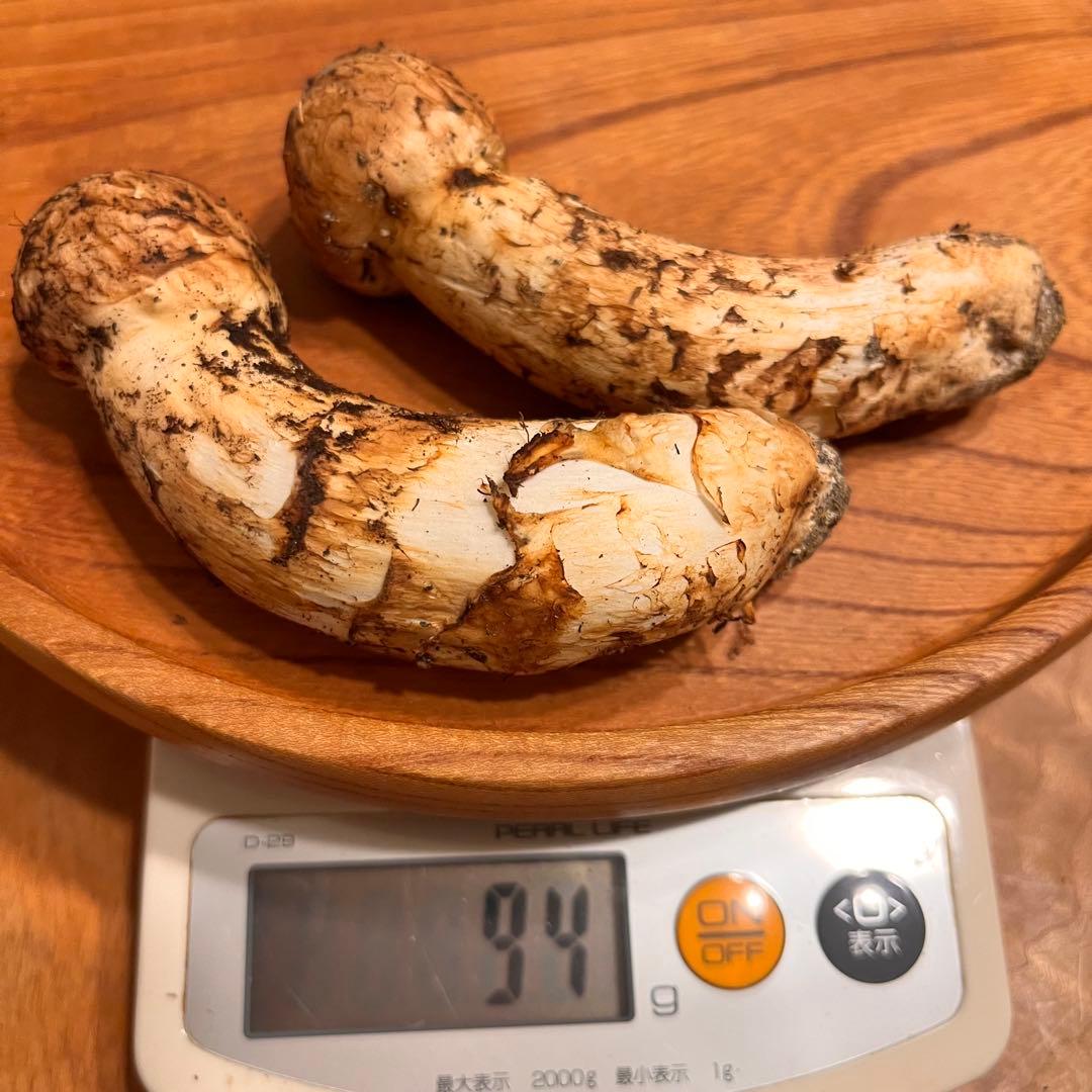 【1箱のみ】国産松茸 つぼみ（軸太充実）　約94g