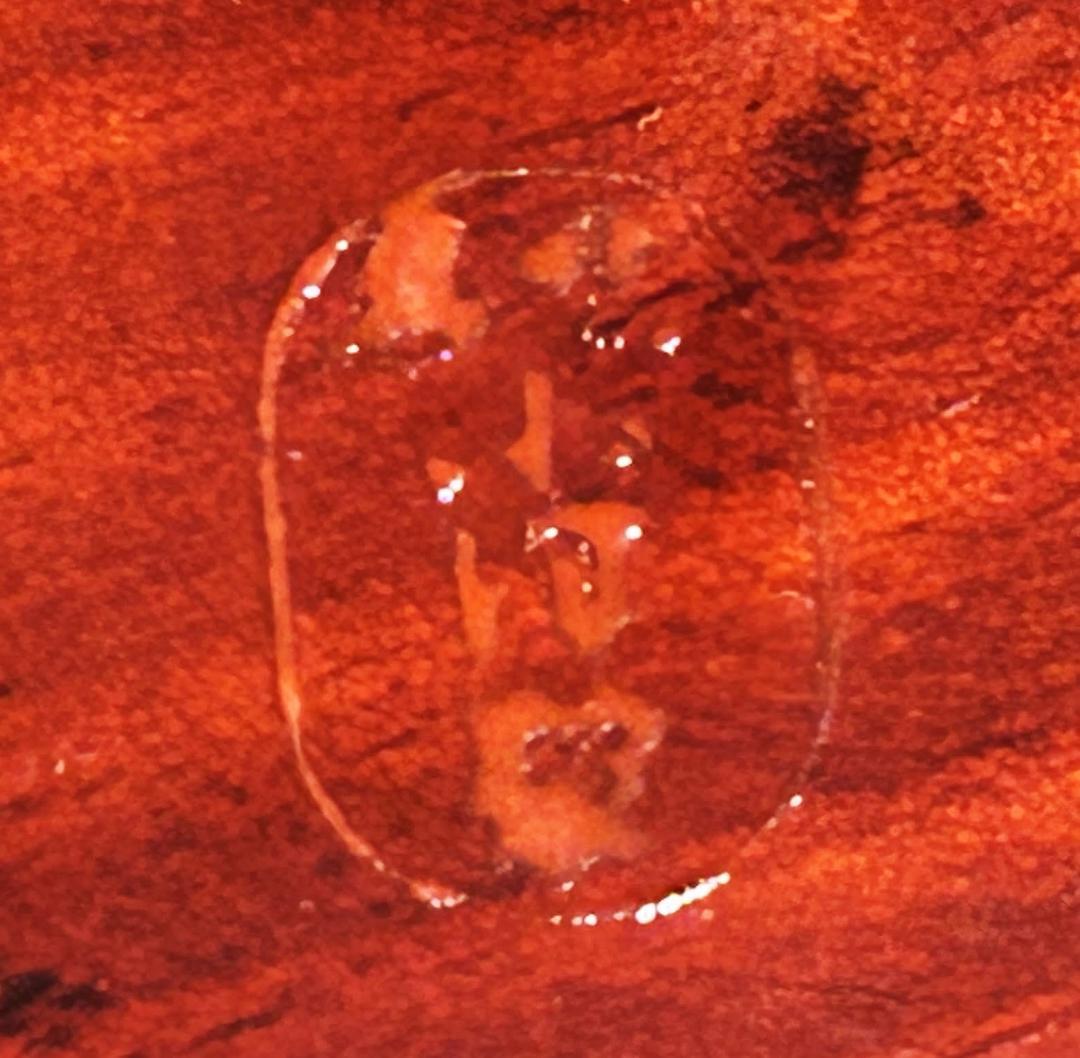 春慶塗“系”の木製漆皿・10枚セット 菓子器