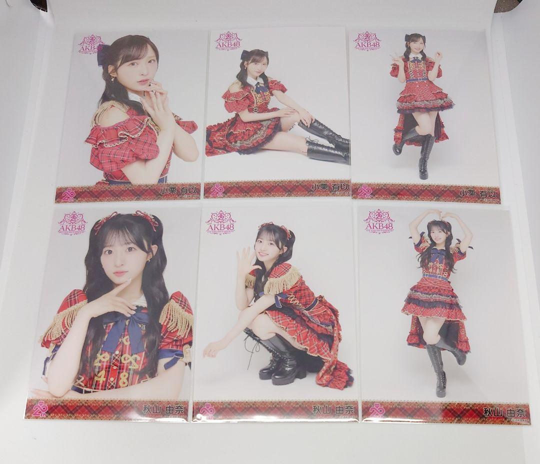 【Y】 AKB48 武道館コンサート グッズセット