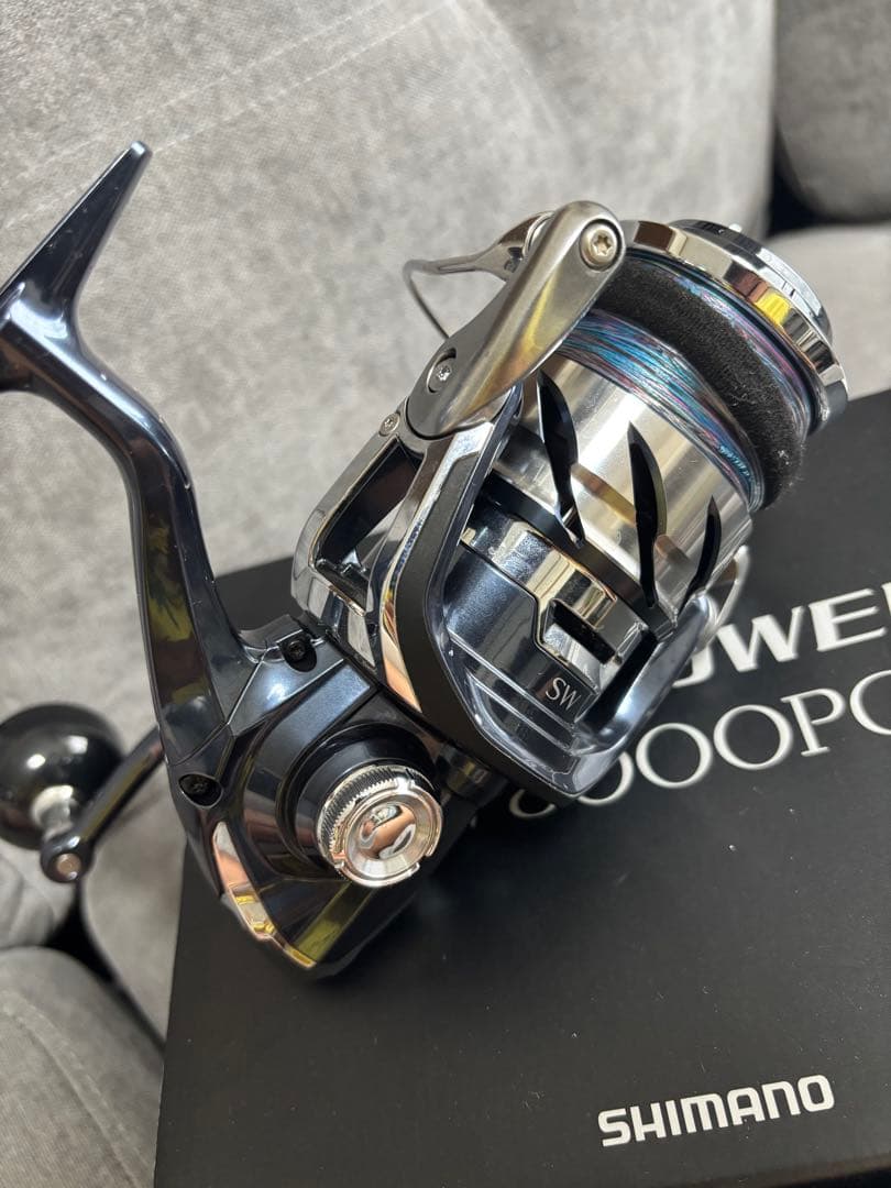 21ツインパワーsw8000PG