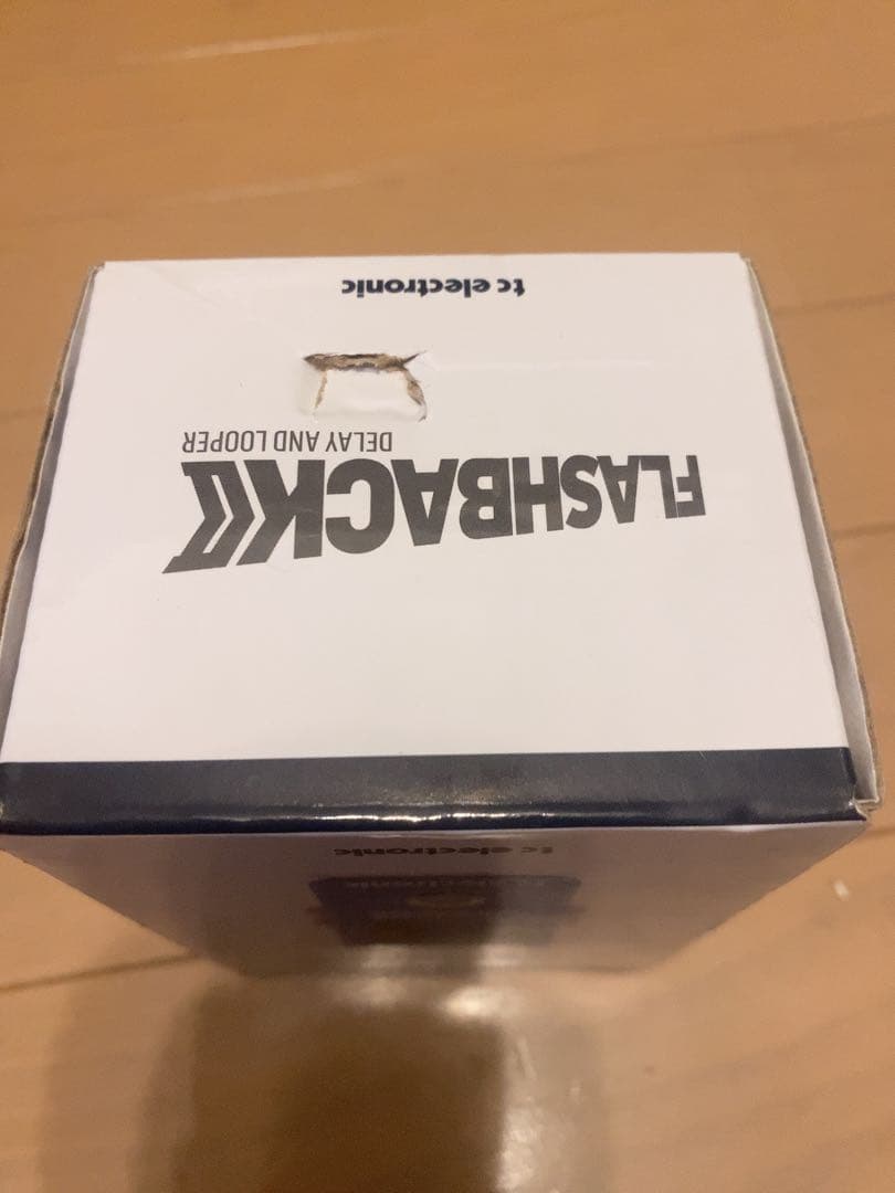 tc electronic FLASHBACK ディレイ＆ルーパー