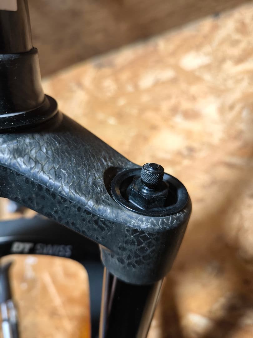 カーボン DT SWISS OPM ODL サスペンションフォーク