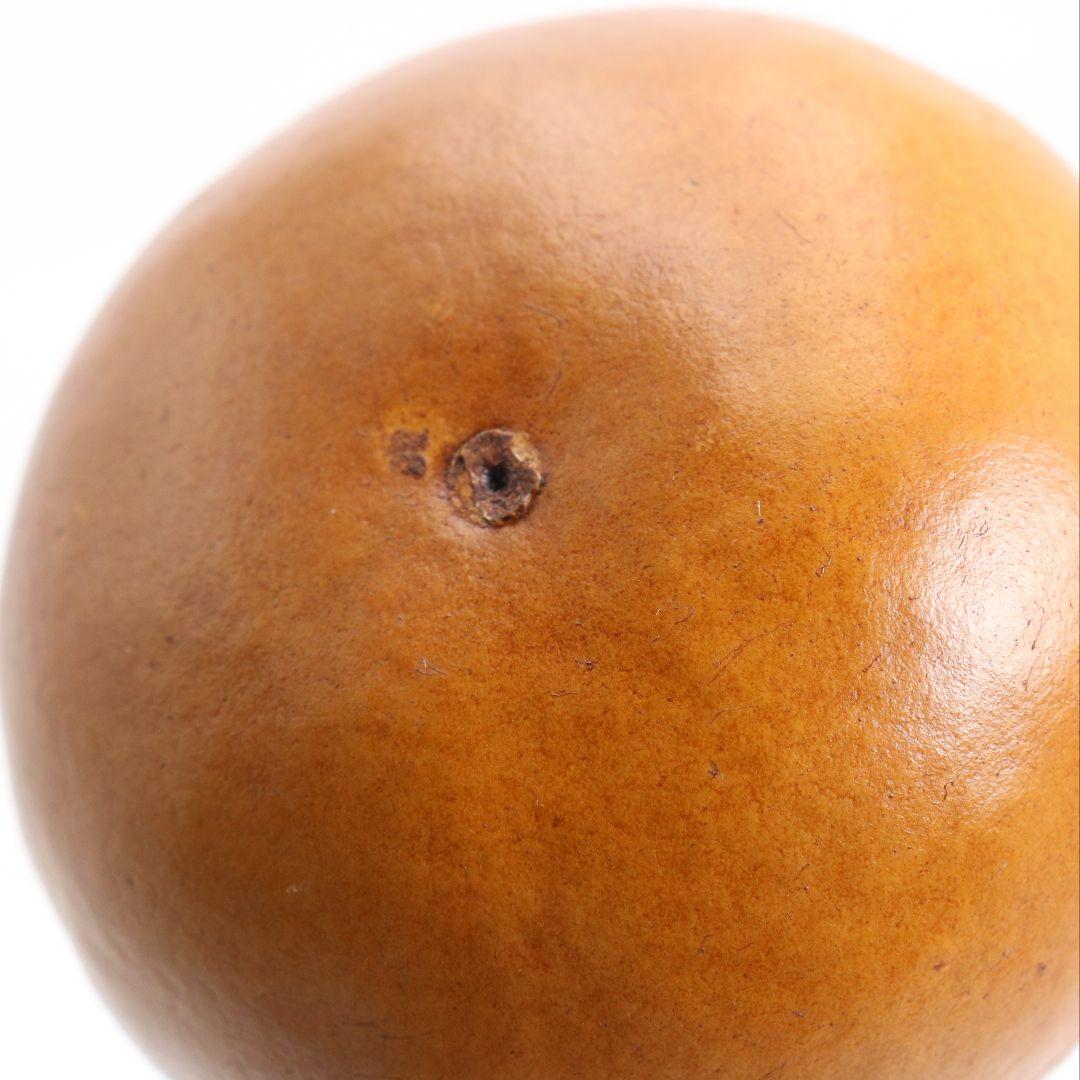 中村湖彩作 七宝蒔絵 瓢形 薄茶器 茶道具 共箱　V928　N7