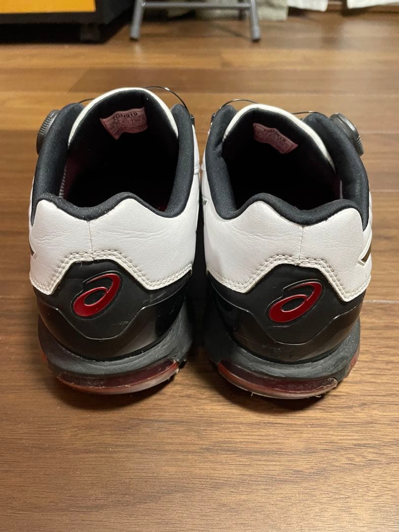 ゴルフシューズ　asics TGN919 ホワイト/ブラック　25.0cm