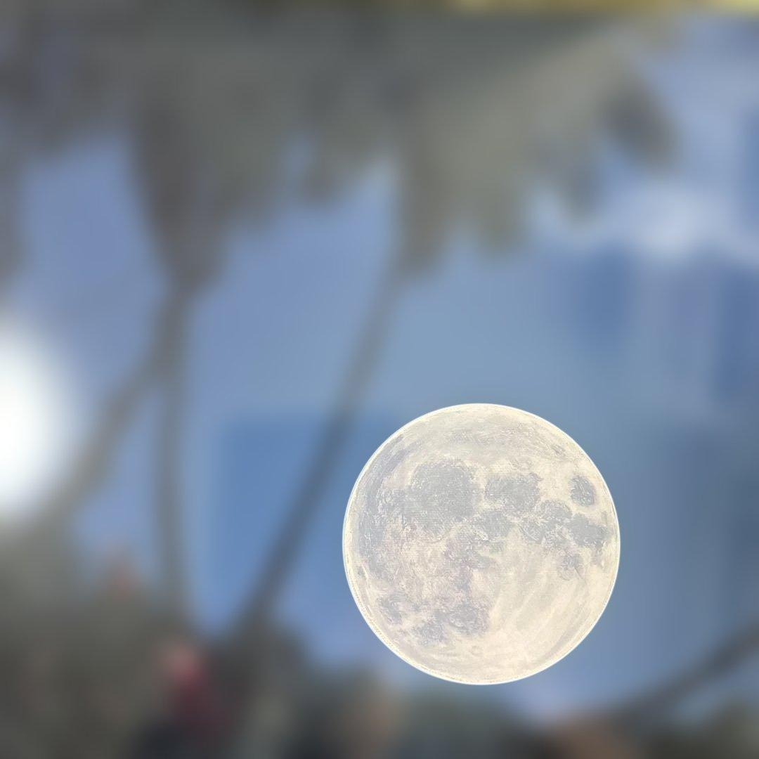 ジョン・アルホーグ 「ベースド イン ムーンライト」JOHN ALHOGUE