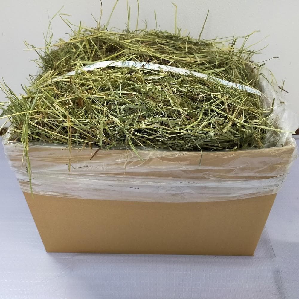 【お得な業販価格】US産 チモシー 2番刈り 300kg ソフトSプレミアム