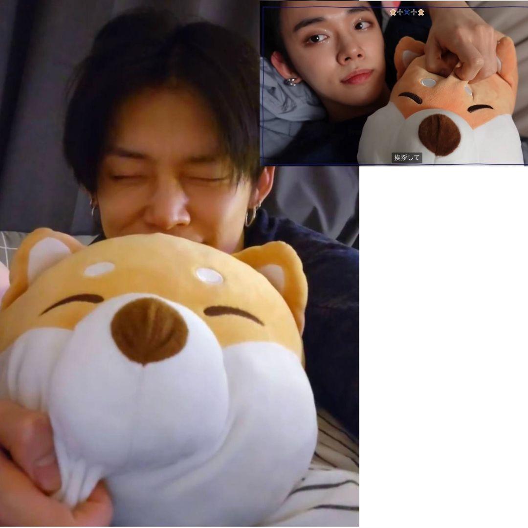 TXT ヨンジュン 同型 柴犬 ぬいぐるみ クッション ソンミンス 50cm L