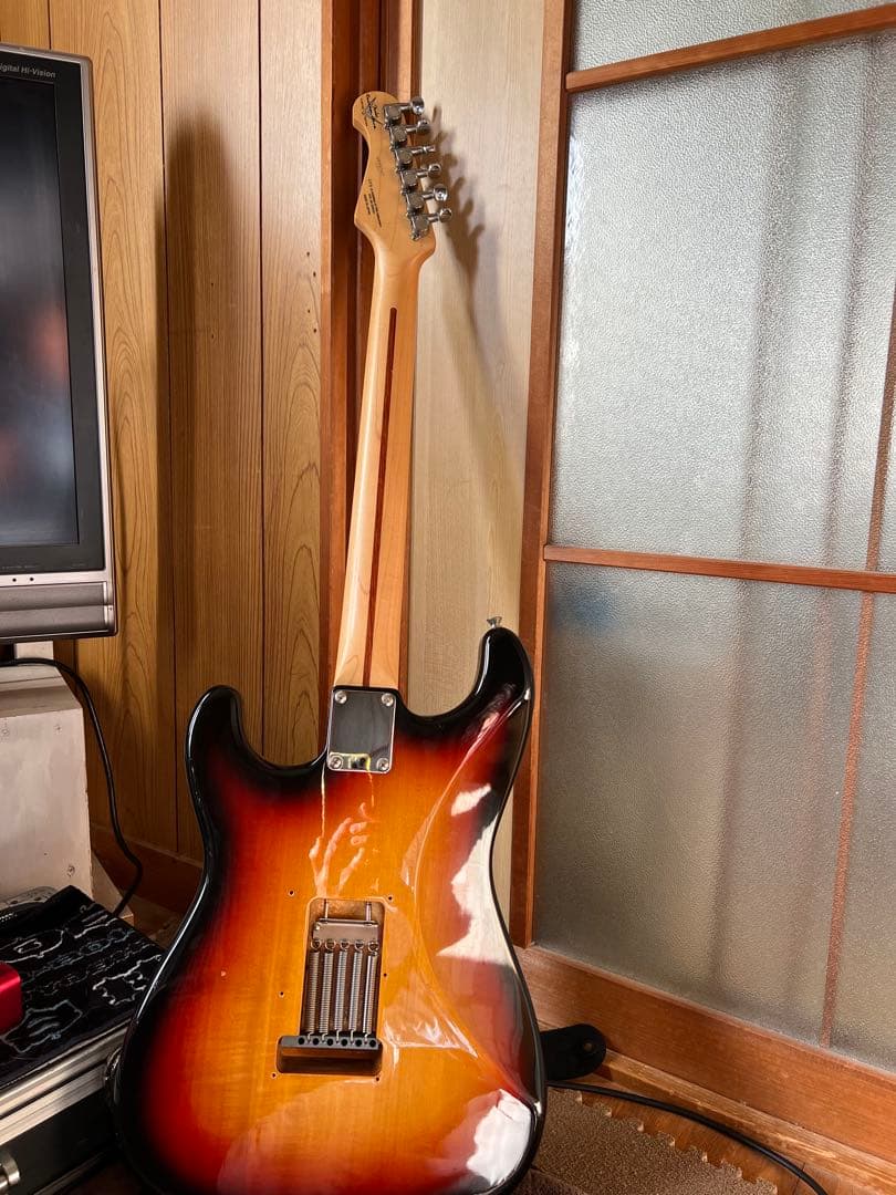 FGN ストラトタイプ　調整済み