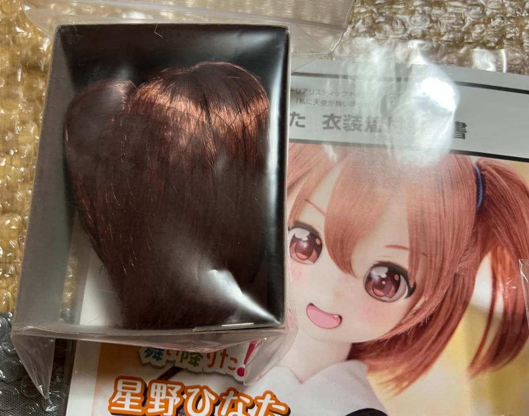 アゾン アナザーリアリスティックキャラクターズ 私に天使が舞い降りた 星野ひなた