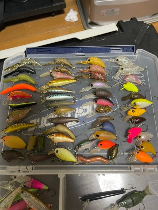 菅釣り、エリアトラウトセット