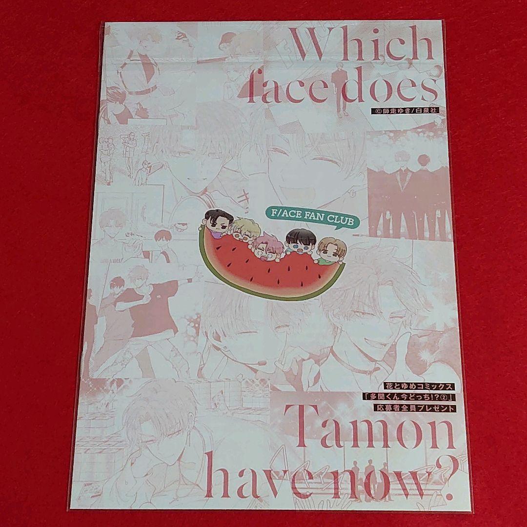 【新品未使用】多聞くん今どっち！？ 全サ ふろく 特典 7点 セット