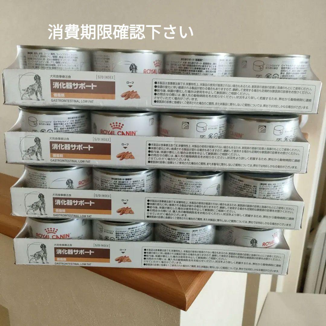  CANIN 消化器サポート 200g缶　犬用食事療法食 48缶