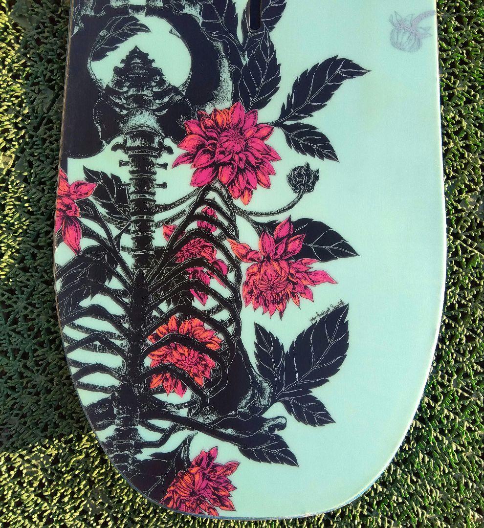 レディース最高峰 BURTON 146/SALOMON CAPiTA グラトリ