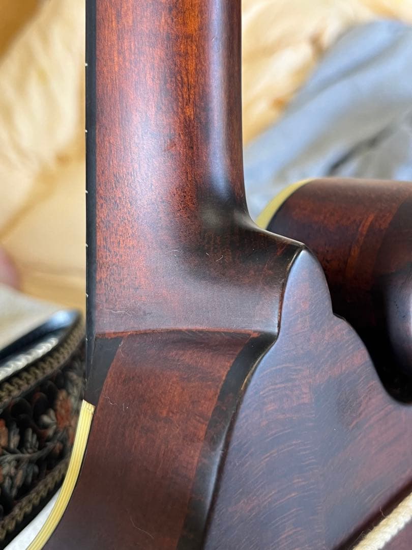 た*ん様 Eastman MD314 イーストマン フラットマンドリン