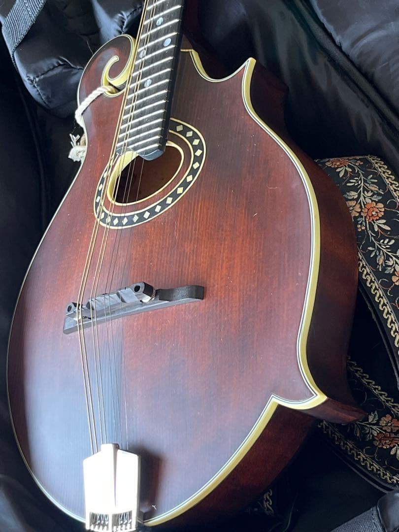 た*ん様 Eastman MD314 イーストマン フラットマンドリン