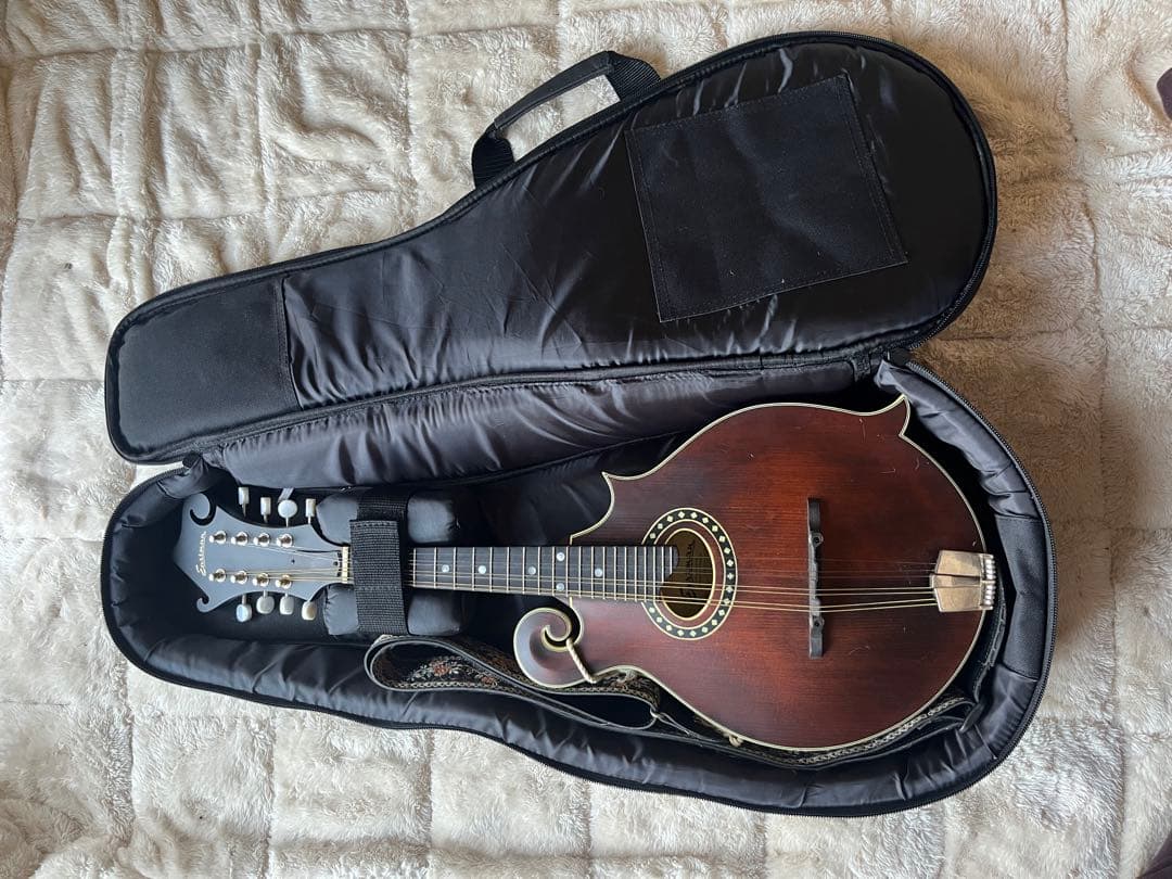 た*ん様 Eastman MD314 イーストマン フラットマンドリン