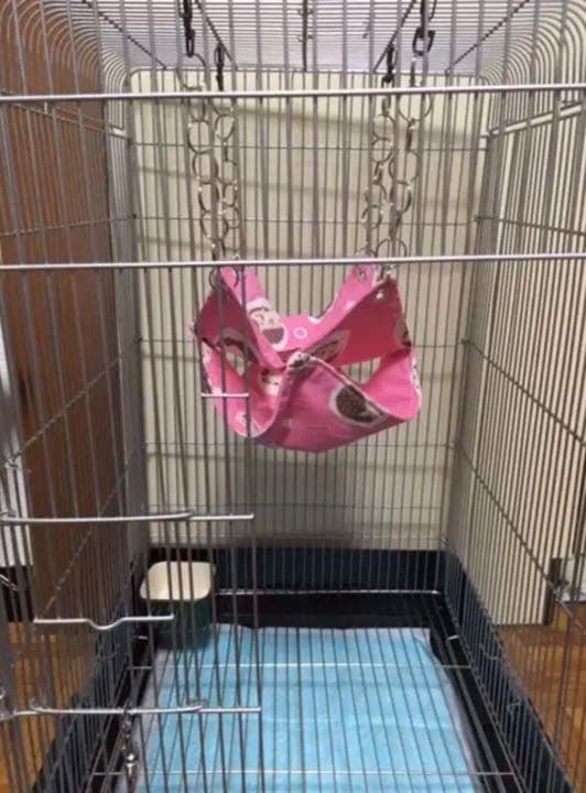 モモンガハウス(うさぎ・和柄)  夏(春・秋)仕様   1900円