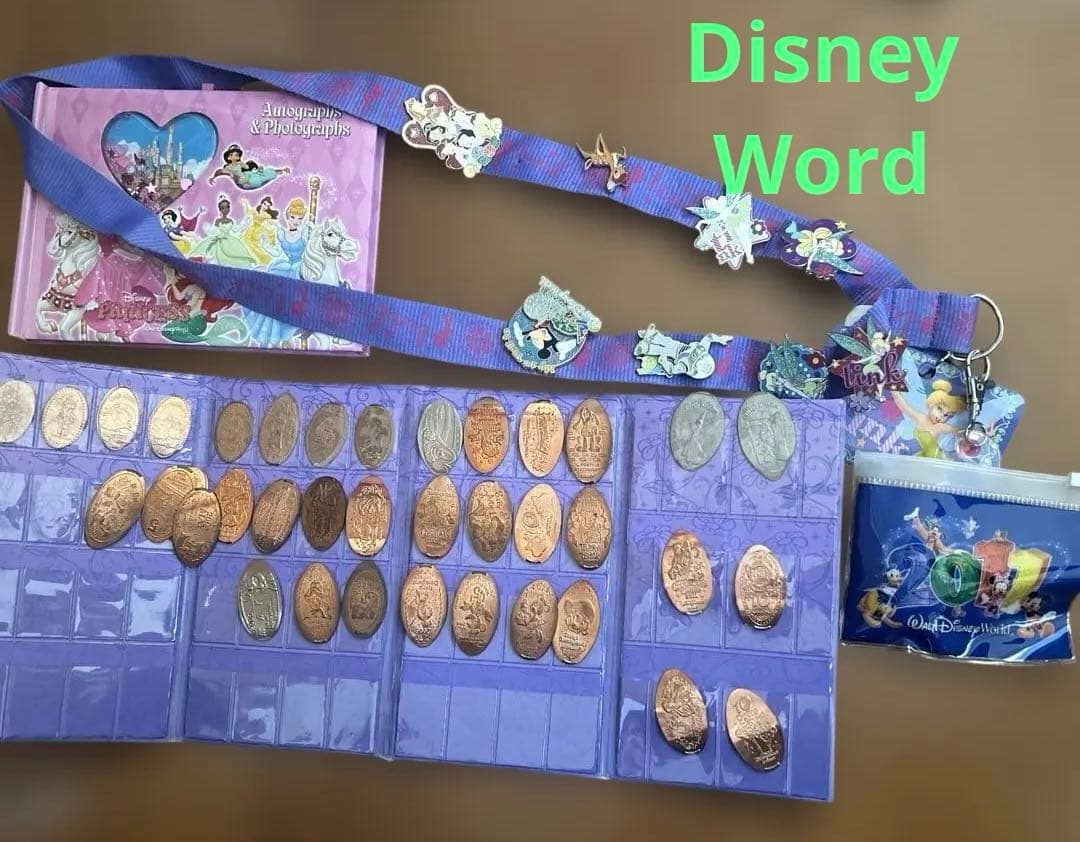 【Disney World】デキャラクター 、ピンバッジ、ストラップセット