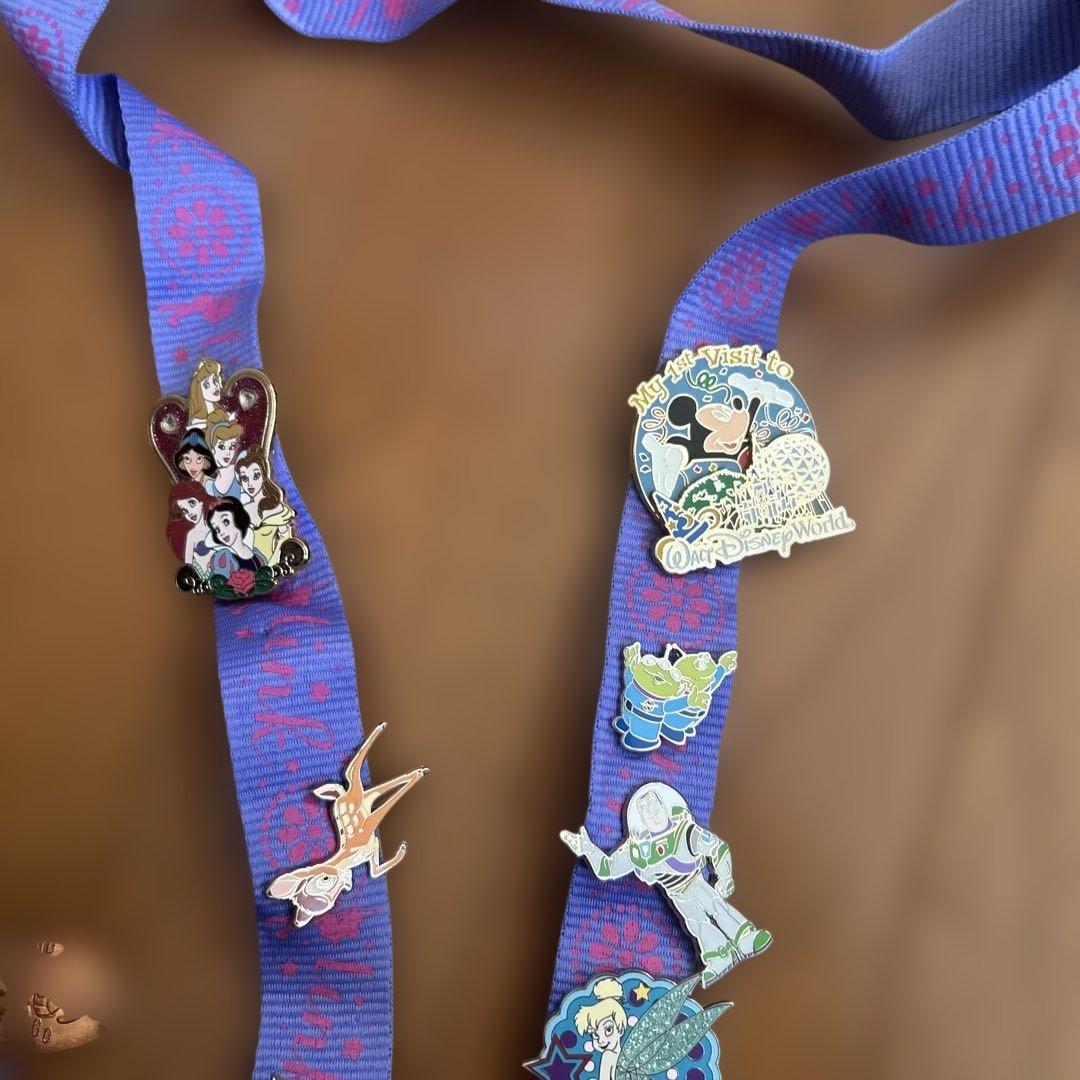 【Disney World】デキャラクター 、ピンバッジ、ストラップセット