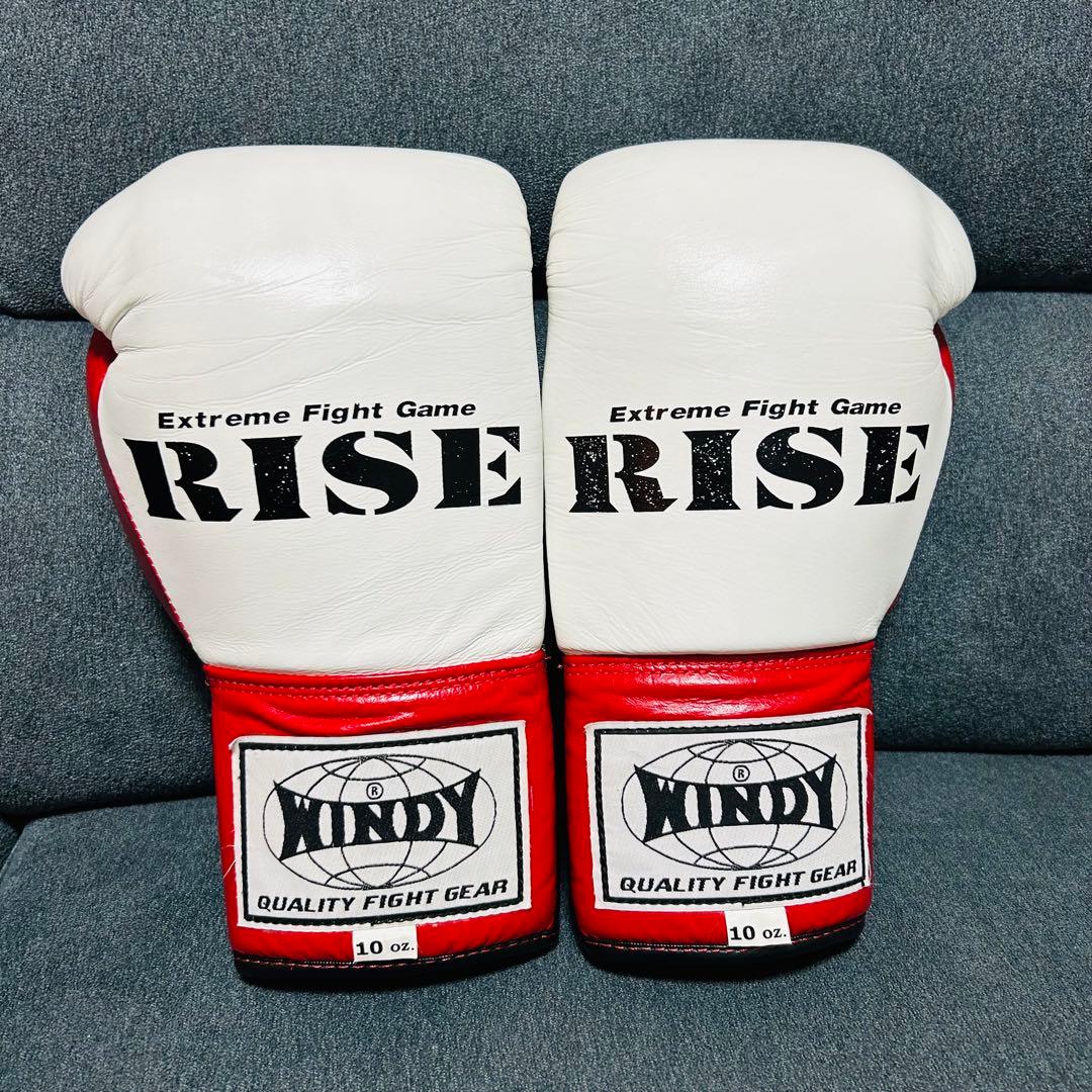 RISE ボクシンググローブ 10oz (美品)