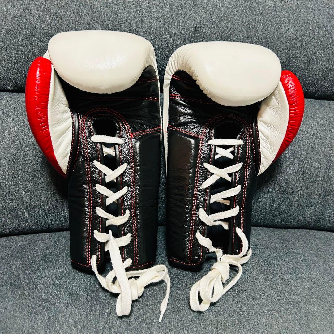 RISE ボクシンググローブ 10oz (美品)