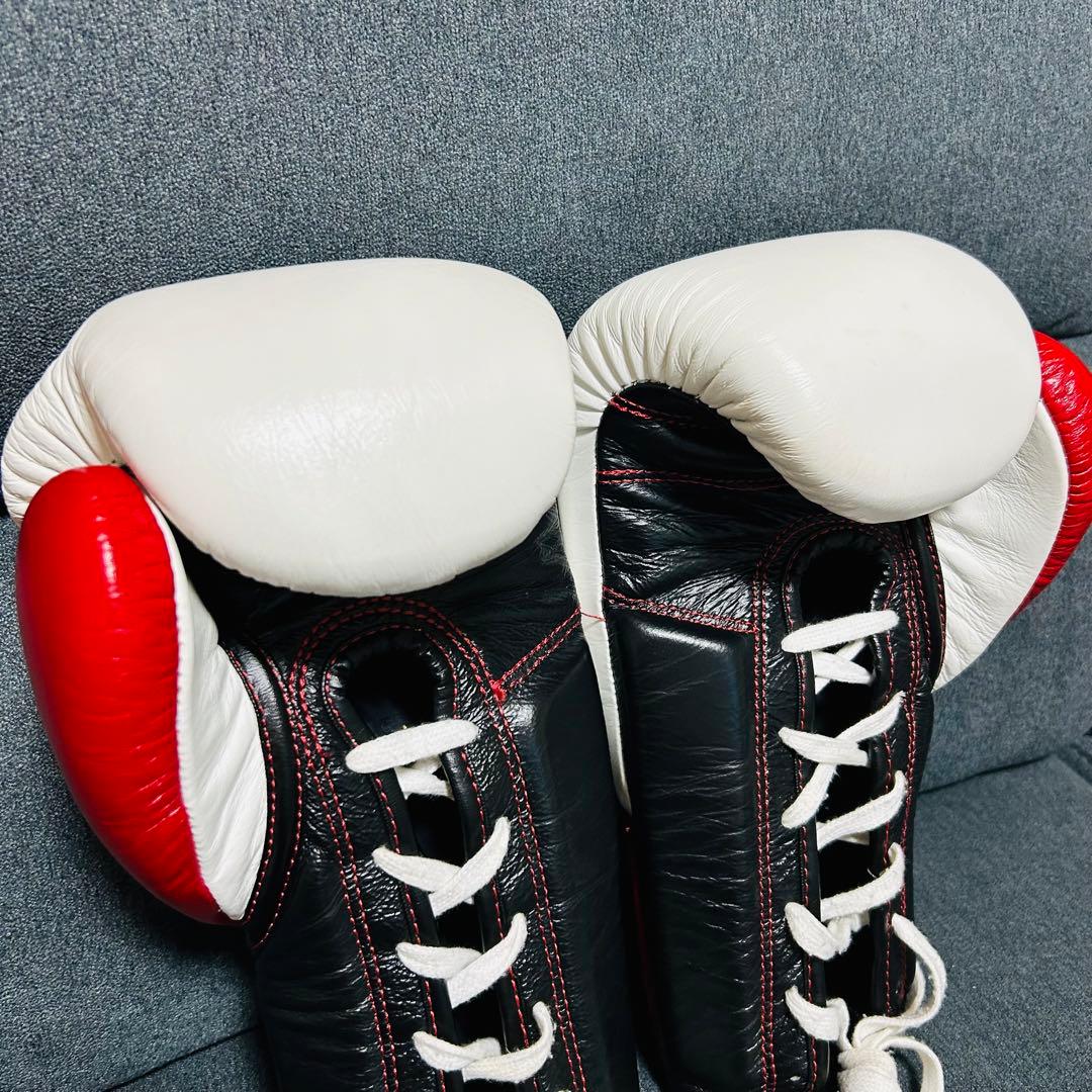 RISE ボクシンググローブ 10oz (美品)
