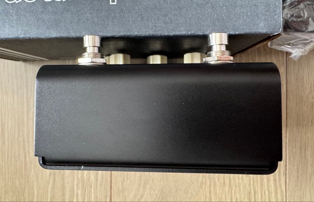 【美品】Strymon FLINT V2 スライモン