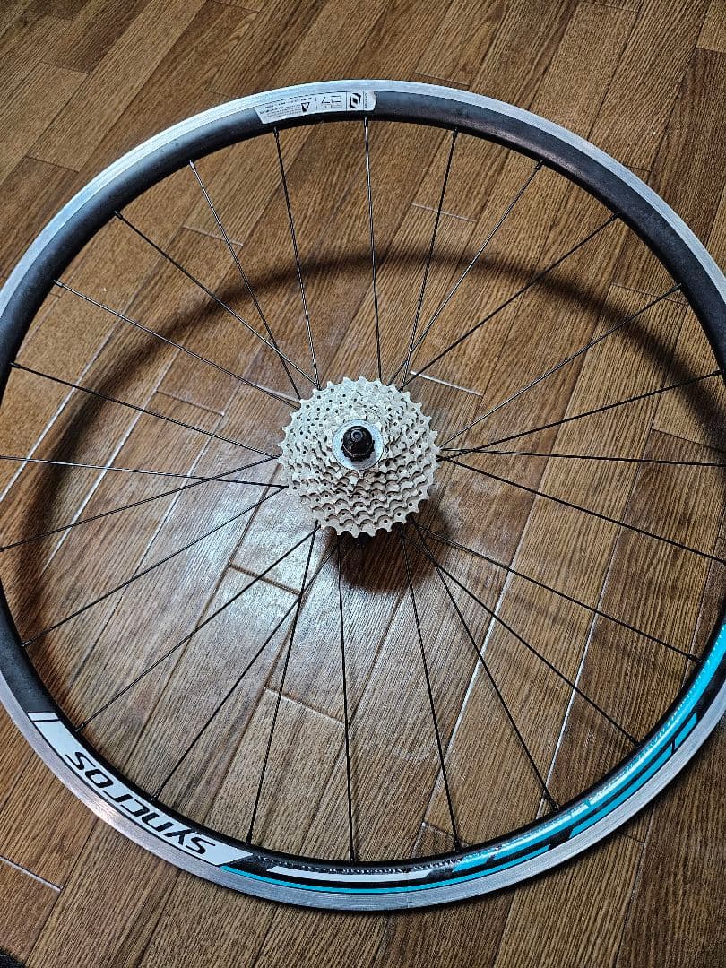 スコット2015モデル CONTESSA SPEEDSTER45 コンポセット