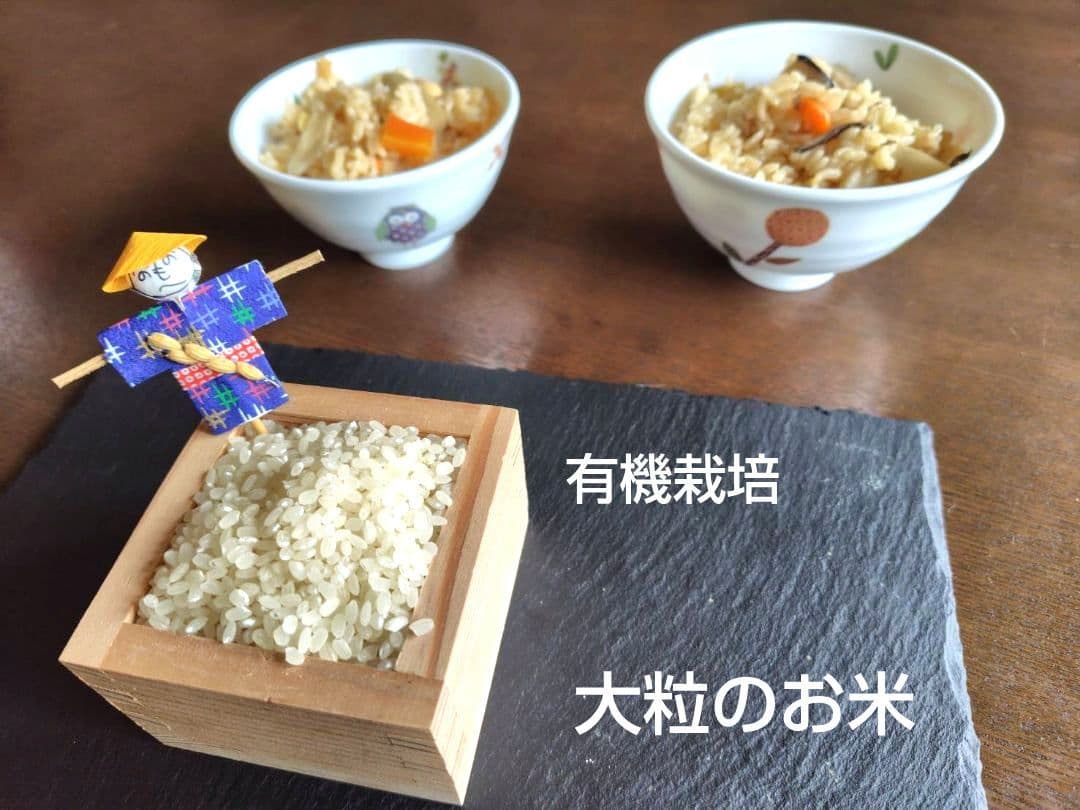 つきあかり10kg　岩手県産 令和６年産 減農薬 玄米 有機栽培 単一原料米