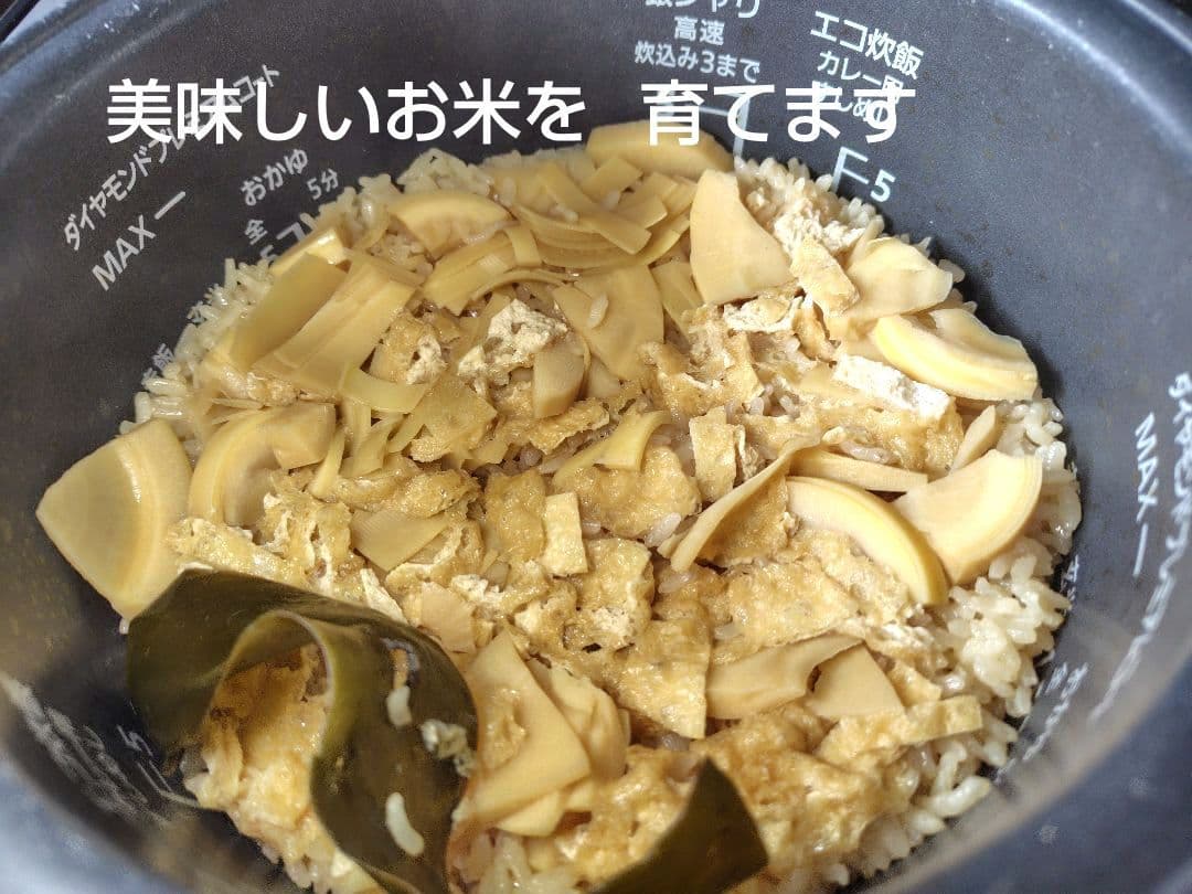 つきあかり10kg　岩手県産 令和６年産 減農薬 玄米 有機栽培 単一原料米