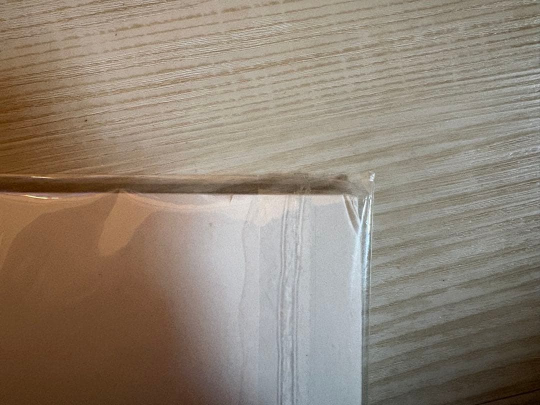 【希少】塔の上のラプンツェル 絵画 アートプリント