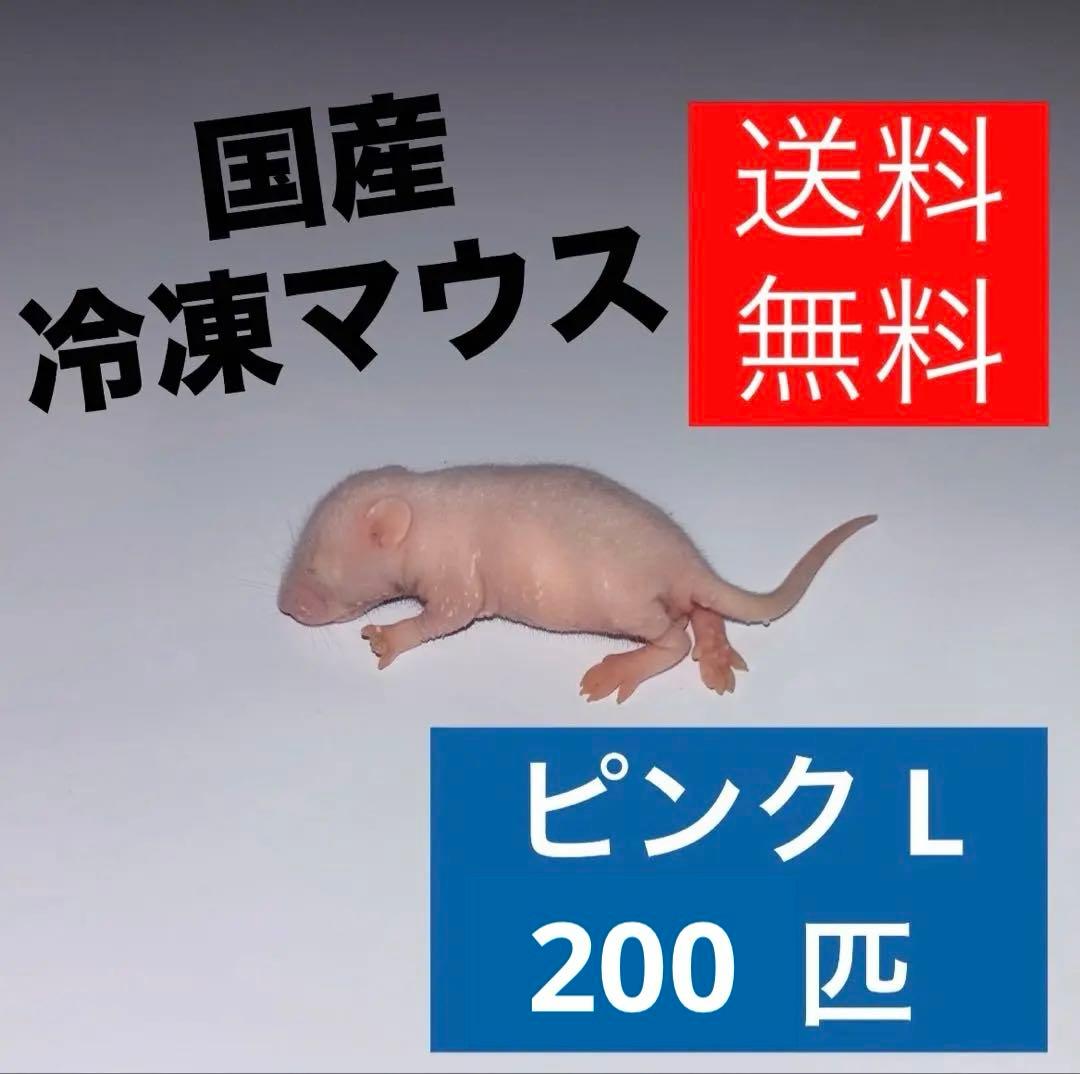 たけ　冷凍マウス ピンクマウス L 200匹セット 送料込み