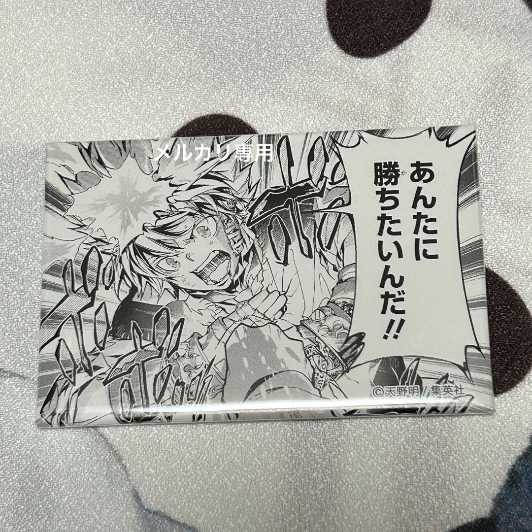 家庭教師ヒットマンREBORN! キャラバッジコレクション 沢田綱吉 天野明展