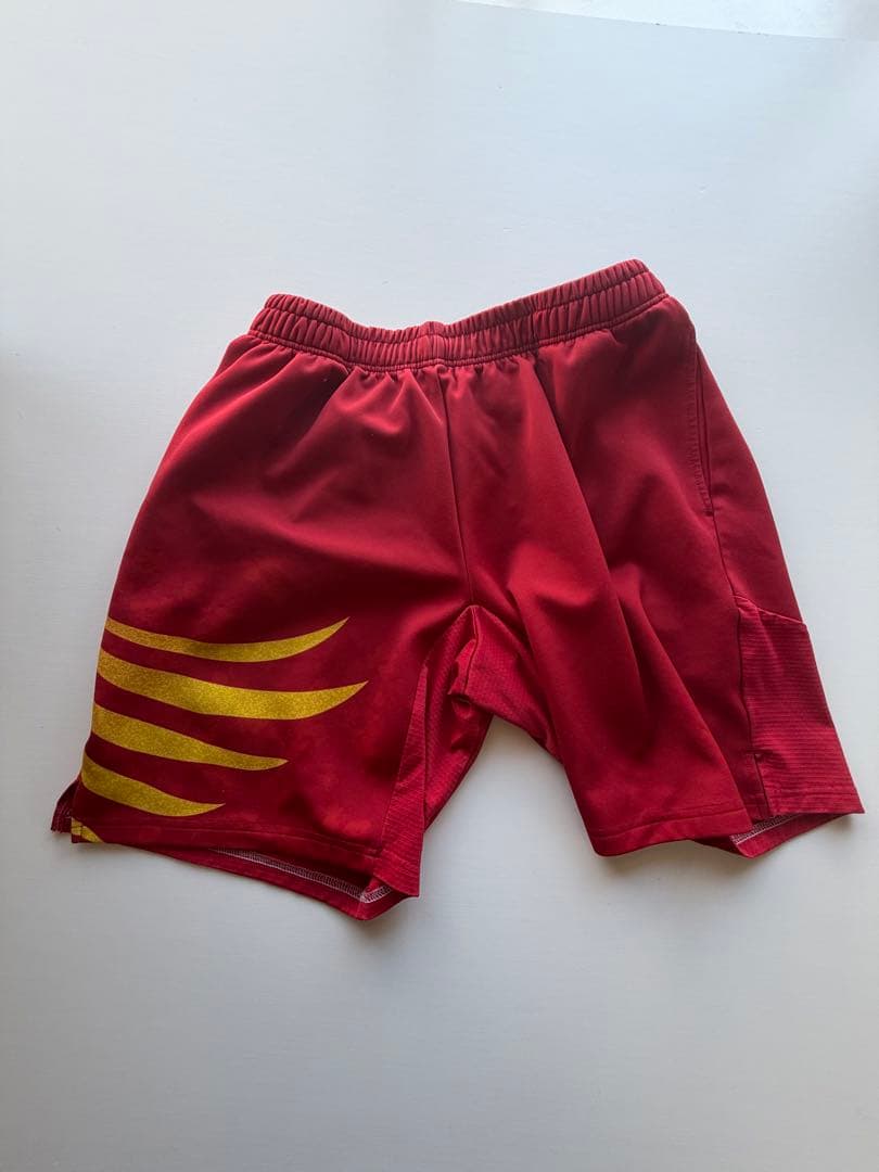 YONEX バドミントン　ユニフォーム　Ｌサイズ 日本代表　レア　ハーフパンツ