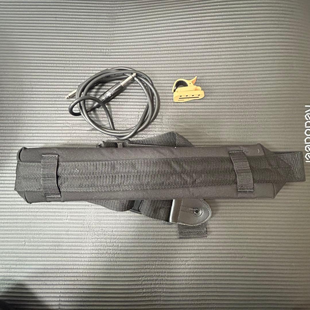 ら*た様 比較的美品　G&L L-2000 premium フジゲン サンバース