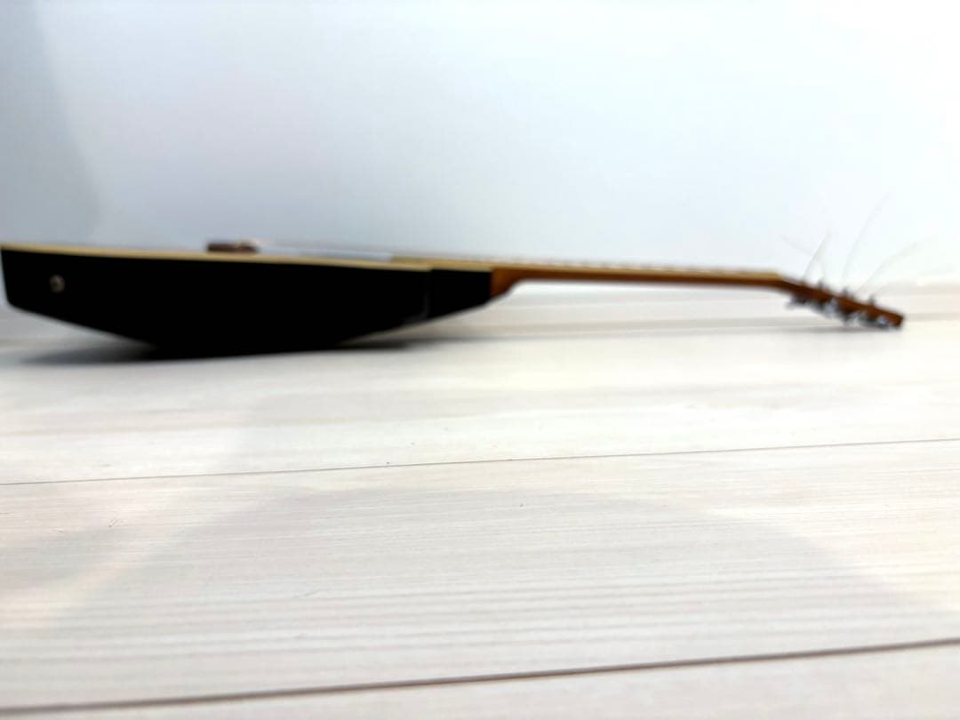 プロマーチン　Pro Martin オベーション　エレアコアコースティックギター