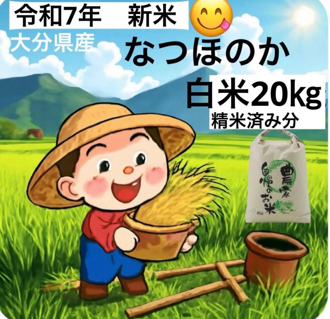 令和7年　新米　大分県産なつほのか　白米20㎏キロ精米済み分お米こめ10㎏×2