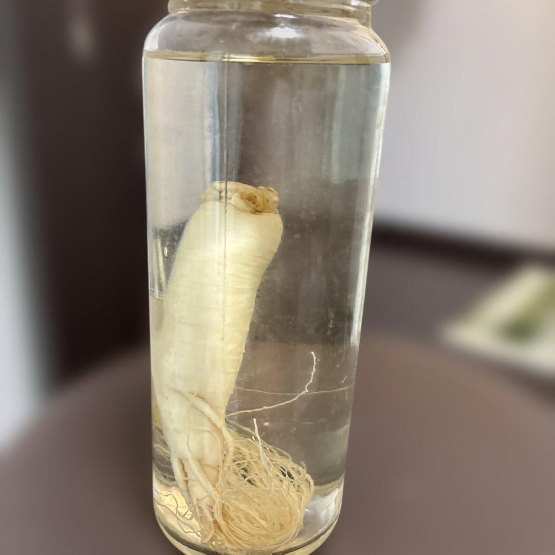 高麗人参入り透明液体瓶