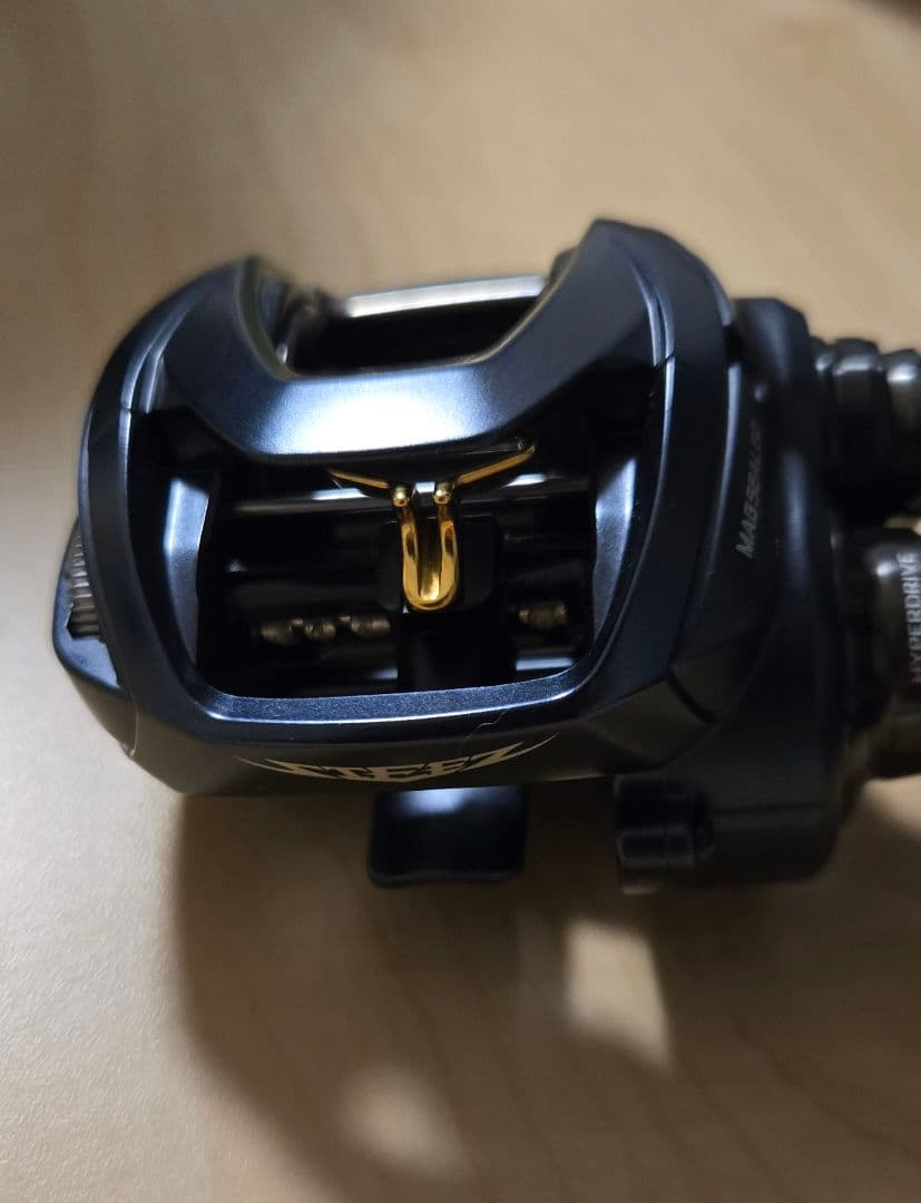 ダイワ 23 スティーズA2 TW 1000HL