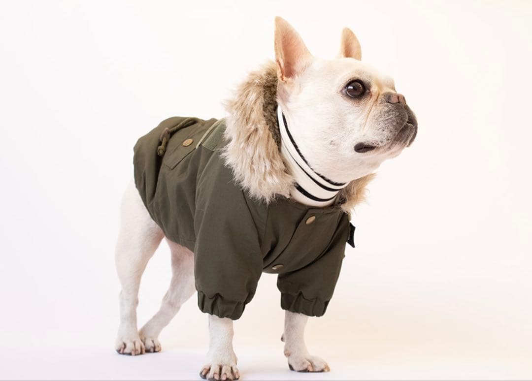 STARBOXX FB/M 3点セット