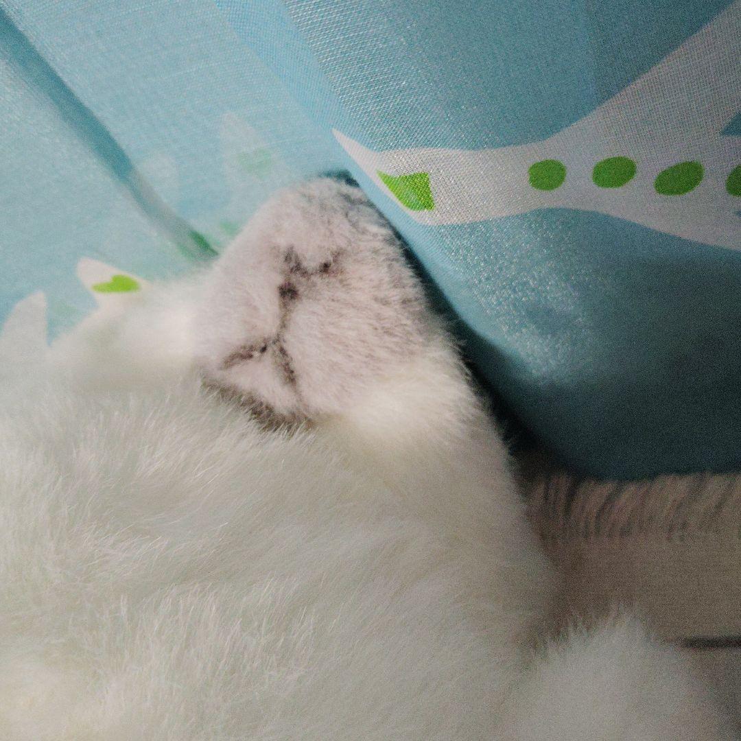 やまね工房 あざらし ぬいぐるみ