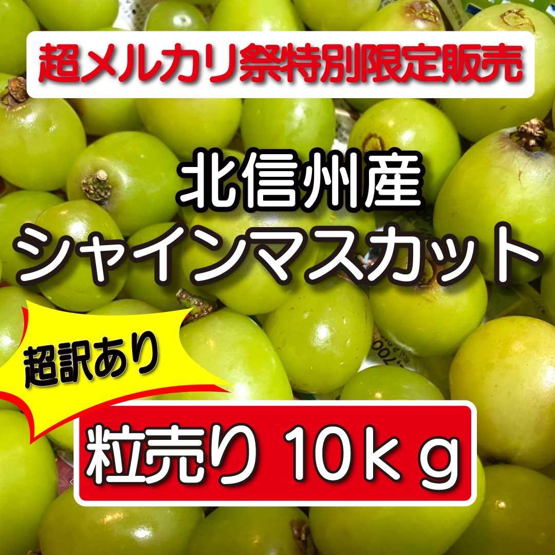 長野県産　【産地直産】　シャインマスカット　粒　超訳あり　10kg 完全加工向き