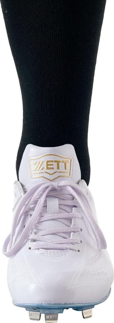 ゼット 埋め込み 金属スパイク BSR2207WH-1111 23.5