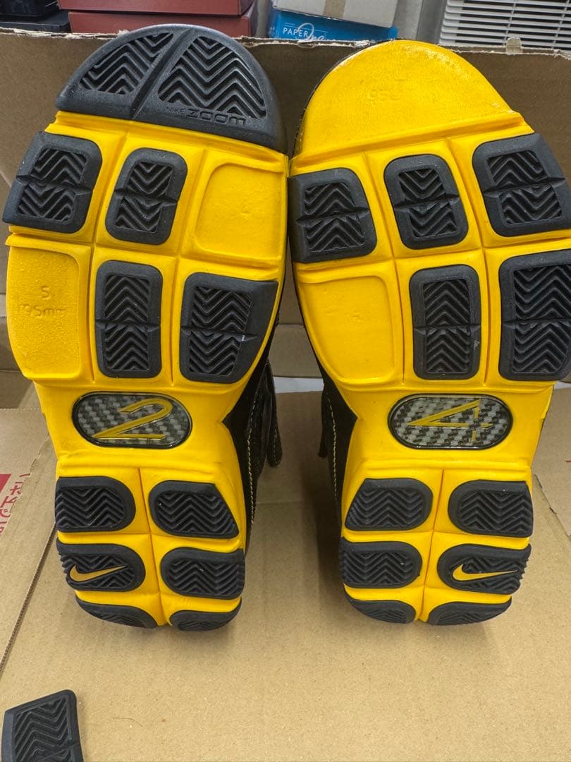 ナイキZoom kobe2 \"Carpe Diem\"27.5cm (説明欄必読)